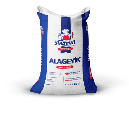 Sinangil Alageyik resmi